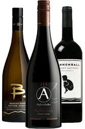 cny-fortune-wine-pack