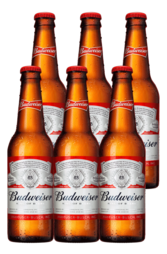 6 x Budweiser Beer Bottle Pack 330ml