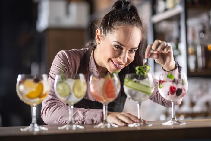 What is Gin: A Beginner's Guide to Understanding this Fine Spirit