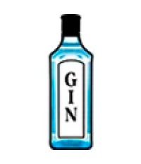 Gin